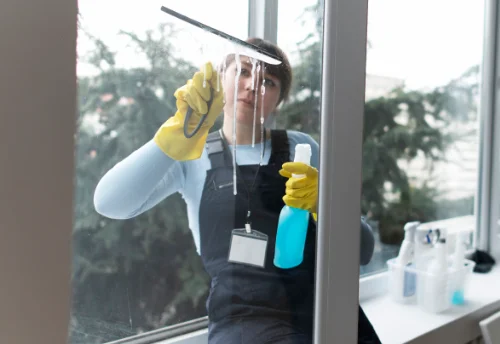 Nettoyage de vitres intérieures et extérieures à Saint-Aubin-des-Châteaux